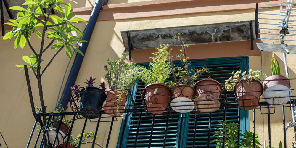 Trang trí ban công với cây xanh