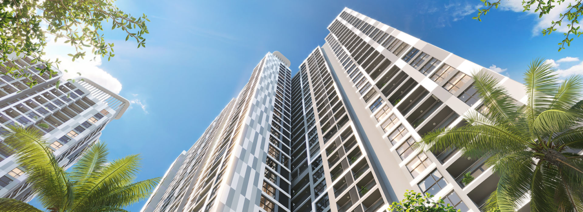 Tân Hoàng Phát Cons